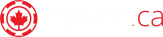 Casino.ca Logo - A symbol of trust and gaming excellence.